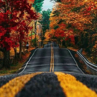 户员可以补办户口吗截图