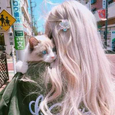 am8亚美ag旗舰厅官网下载手机版