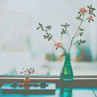 狗万官网手机app下载