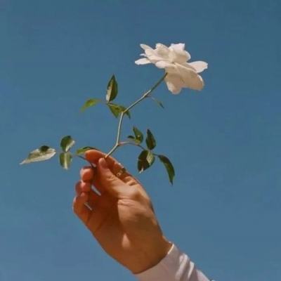 购彩中心app下载