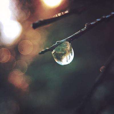 欧意交易所下载